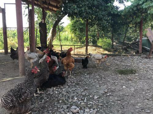 Agroturismo Teachers