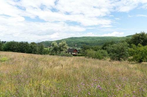 Lodge Trei Lumi