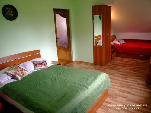 Villa Casa Ana Vatra Dornei