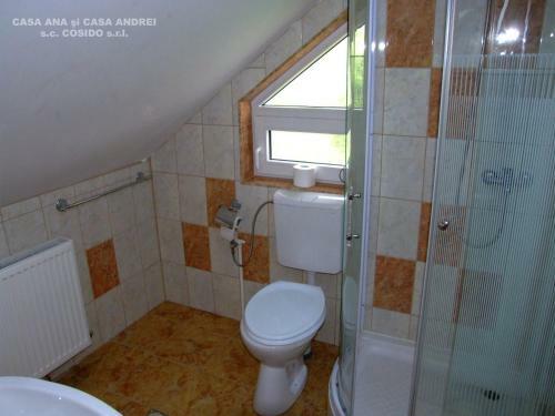 Villa Casa Ana Vatra Dornei