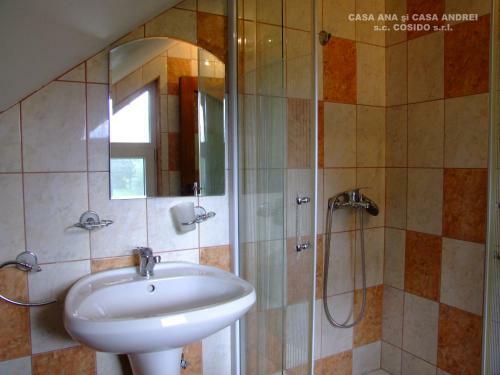 Villa Casa Ana Vatra Dornei