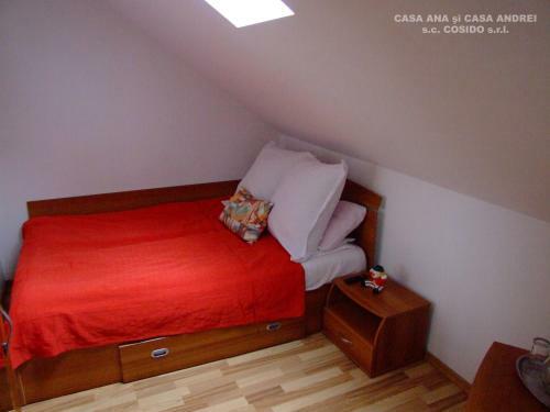 Villa Casa Ana Vatra Dornei
