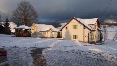 Villa Casa Ana Vatra Dornei