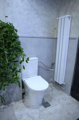 Apartament Royal