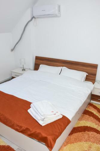 Hostal Tomis House