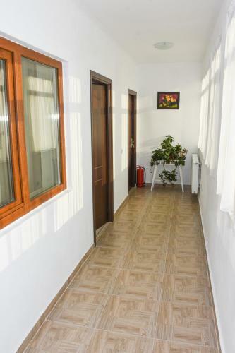 Hostal Tomis House