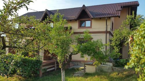 Villa Vila Magnolia