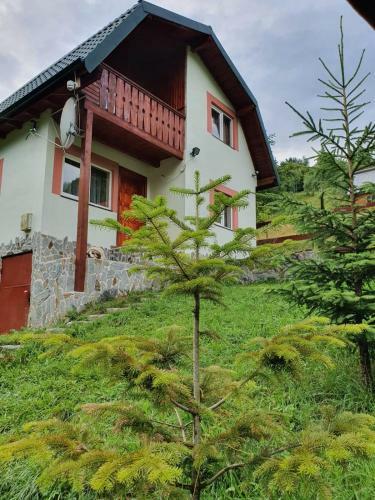 Lodge Casa Dor De Ea