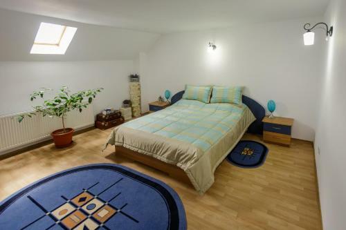 Hostal Casa Florilor