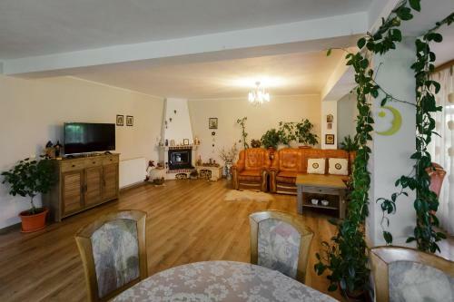 Hostal Casa Florilor
