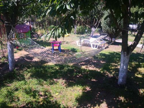 Hostal Casa Cu Verdeata