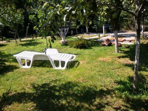 Hostal Casa Cu Verdeata