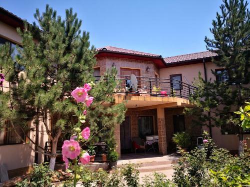 Hostal Casa Cu Verdeata