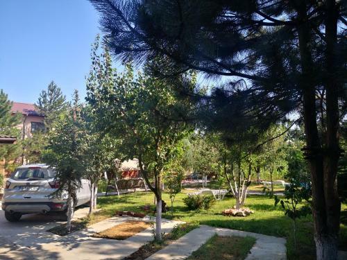 Hostal Casa Cu Verdeata