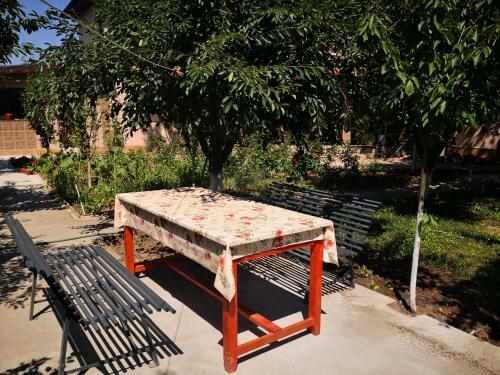 Hostal Casa Cu Verdeata