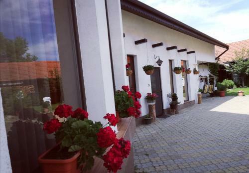 Bed & Breakfast Dridif 135