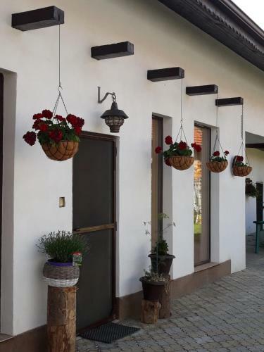 Bed & Breakfast Dridif 135