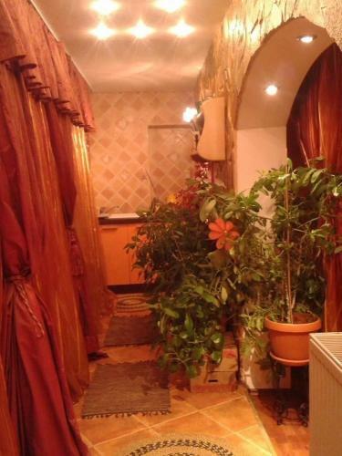 Apartamento Sweet Homme