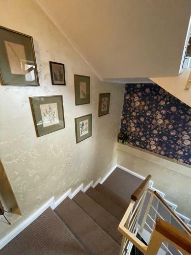 Apartament Boem �n Inima Ora?ului Craiova