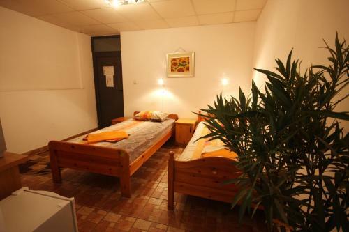 Motel Il Capo Tour