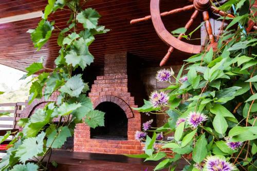 Hostal Casa Camelia