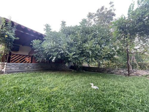 Agroturismo Casa Nirvana