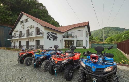 Hostal Pensiunea Raya