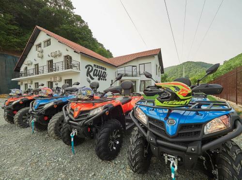 Hostal Pensiunea Raya
