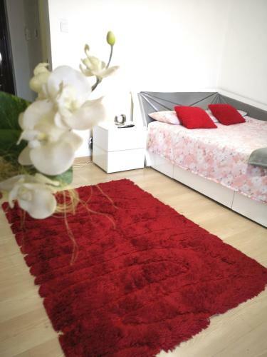 Apartament Adriana