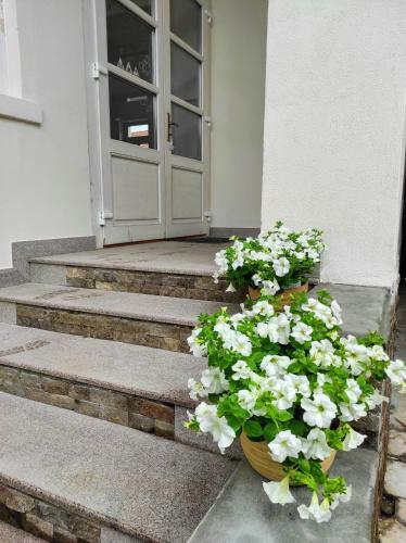 Hostal Casa D�vid Ferenc H�z