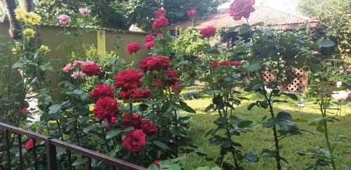 Hostal Villa Mugur