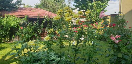 Hostal Villa Mugur