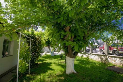 Hostal Casa Iordachescu 2 Mai