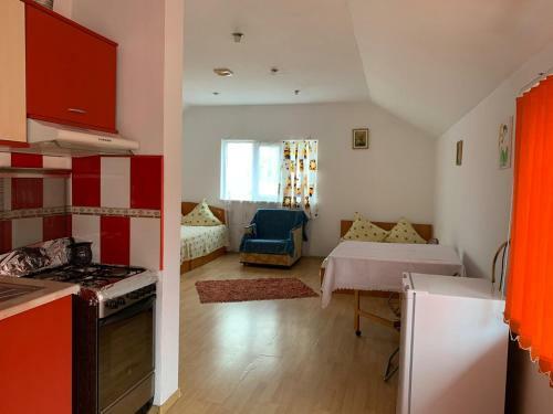 Hostal Vila Catalin-bianca