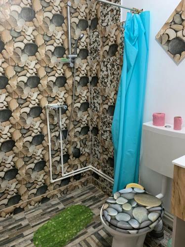 Hostal Vila Catalin-bianca