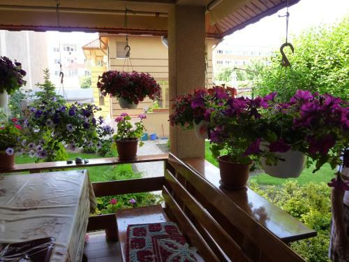 Bed & Breakfast Casa Edwin