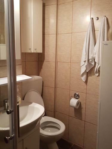 Sushy Apartment