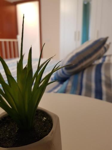 New Beach Apartment