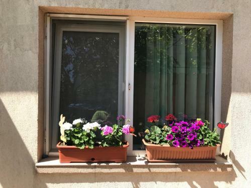 Hostal Black Sea House Apartment Constanta
