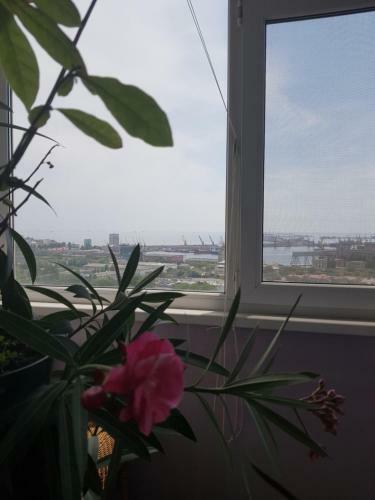 Apartament Harbour View