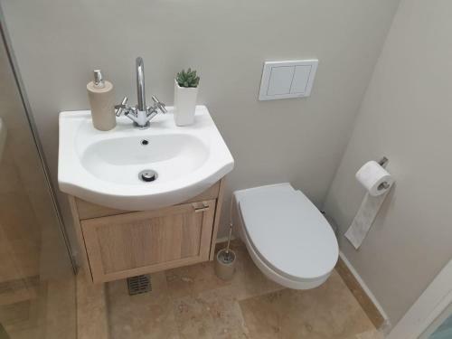 Apartament Aleea Macilor