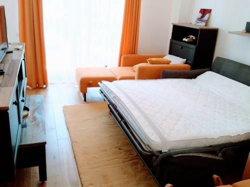 Apartamento Studio Oxford-campus Sat Vacanta