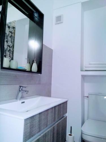 Apartamento Studio Oxford-campus Sat Vacanta