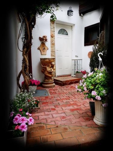 Casa Fotografului