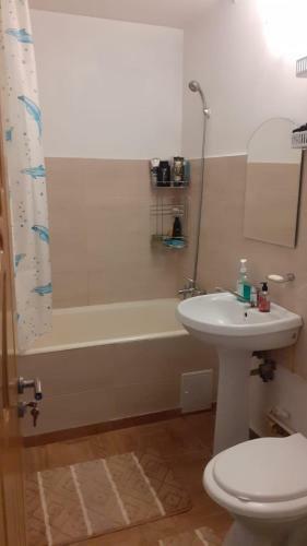 Xenia Apartament