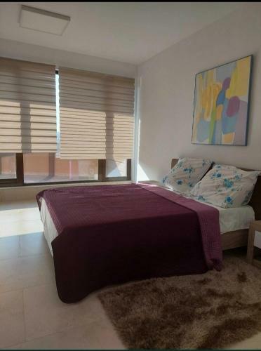 Diana Apartament Lux