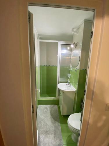 Apartament Andrei, Sat Vacanta