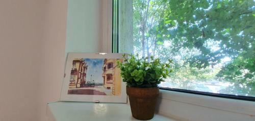 Apartamento Margaritarelor