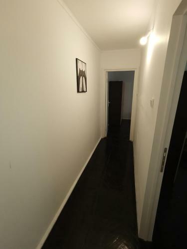 Apartamentul Lui Matei