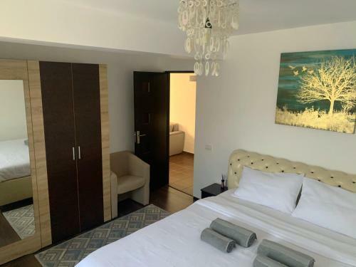 Intregul Apartament - Compozitorilor Constanta